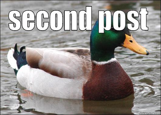 SECOND POST  Actual Advice Mallard