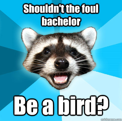 Shouldn't the foul bachelor Be a bird?  Lame Pun Coon