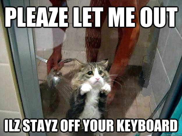 Pleaze let me out Ilz stayz off your keyboard   Shower kitty