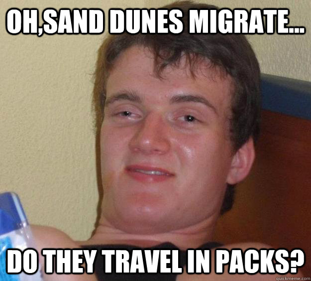 OH,SAND DUNES MIGRATE... dO THEY TRAVEL IN PACKS? - OH,SAND DUNES MIGRATE... dO THEY TRAVEL IN PACKS?  10 Guy
