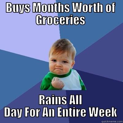 BUYS MONTHS WORTH OF GROCERIES RAINS ALL DAY FOR AN ENTIRE WEEK Success Kid