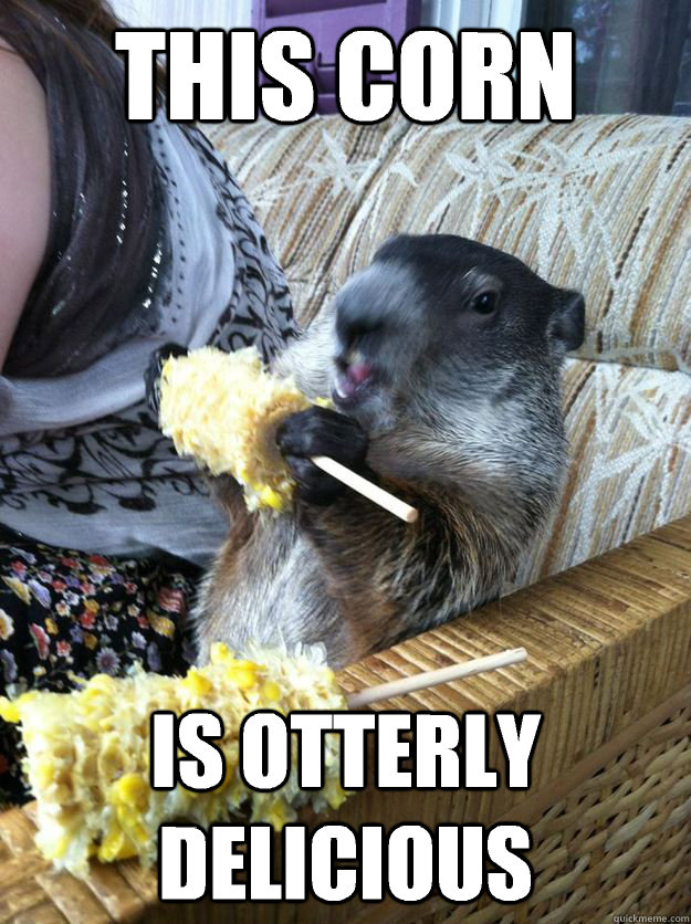 This corn Is otterly delicious - This corn Is otterly delicious  Misc