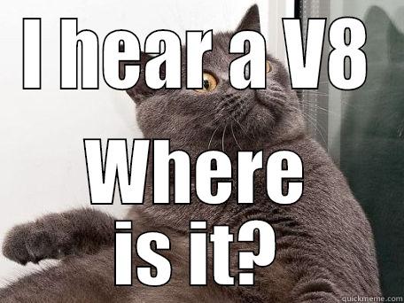 I hear a V8 - I HEAR A V8 WHERE IS IT? conspiracy cat
