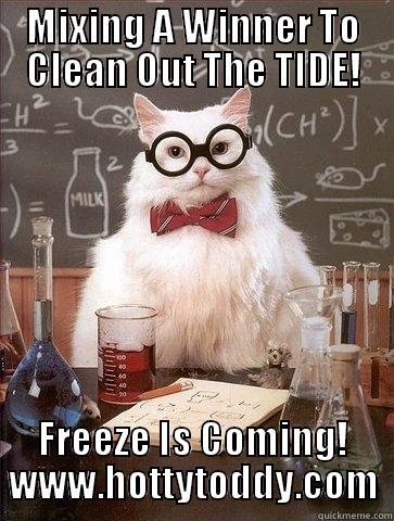 MIXING A WINNER TO CLEAN OUT THE TIDE! FREEZE IS COMING! WWW.HOTTYTODDY.COM Chemistry Cat