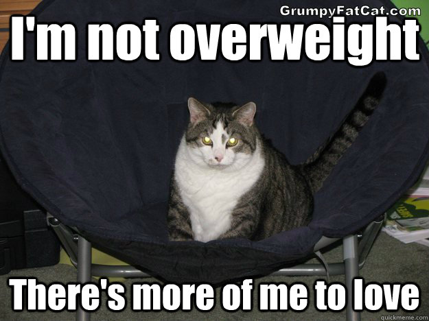 I'm not overweight There's more of me to love  Grumpy Fat Cat