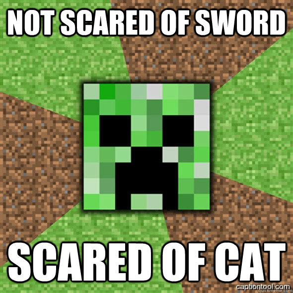 Not scared of sword scared of cat  Minecraft Creeper