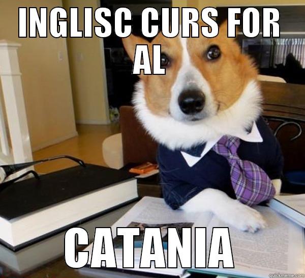 INGLISC CURS FOR AL CATANIA Lawyer Dog