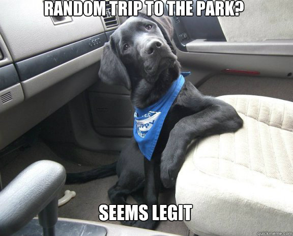 random trip to the park? seems legit - random trip to the park? seems legit  Easily Convinced Dog