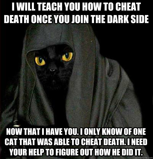 I will teach you how to cheat death once you join the dark side Now that I have you. I only know of one cat that was able to cheat death. I need your help to figure out how he did it. - I will teach you how to cheat death once you join the dark side Now that I have you. I only know of one cat that was able to cheat death. I need your help to figure out how he did it.  Darth Meow