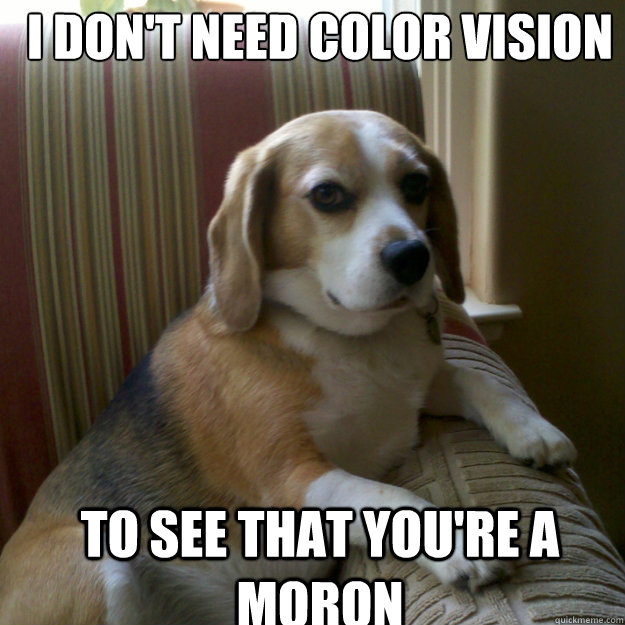 i don't need color vision to see that you're a moron - i don't need color vision to see that you're a moron  judgmental dog