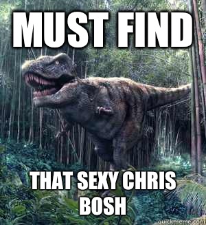 Must Find That sexy Chris Bosh  