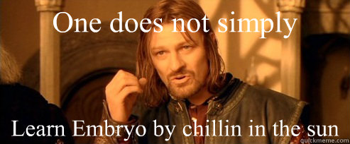 One does not simply Learn Embryo by chillin in the sun  One Does Not Simply