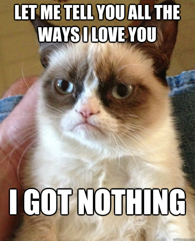 Let me tell you all the ways I love you I got nothing  Grumpy Cat