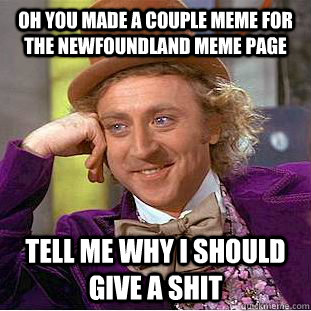 oh you made a couple meme for  the Newfoundland meme page tell me why i should give a shit  Condescending Wonka