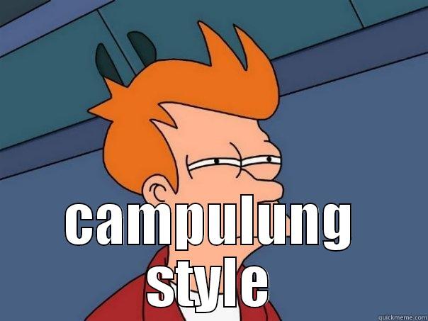  CAMPULUNG STYLE Futurama Fry