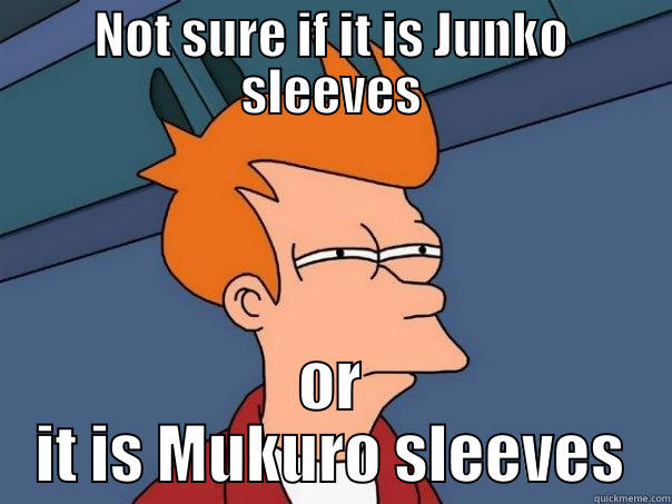NOT SURE IF IT IS JUNKO SLEEVES OR IT IS MUKURO SLEEVES Futurama Fry