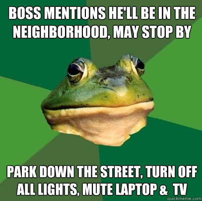 boss mentions he'll be in the neighborhood, may stop by park down the street, turn off all lights, mute laptop &  tv   Foul Bachelor Frog