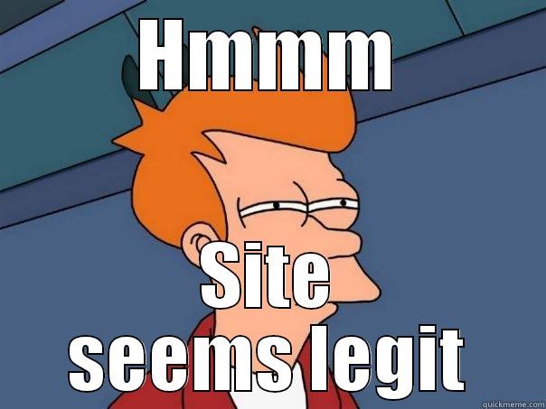 HMMM SITE SEEMS LEGIT Futurama Fry