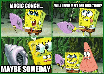 Magic Conch... Will I ever meet One Direction? Maybe someday  