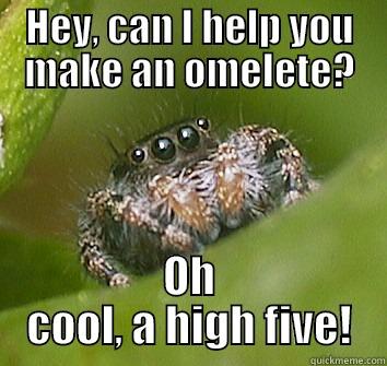 HEY, CAN I HELP YOU MAKE AN OMELETE? OH COOL, A HIGH FIVE! Misunderstood Spider