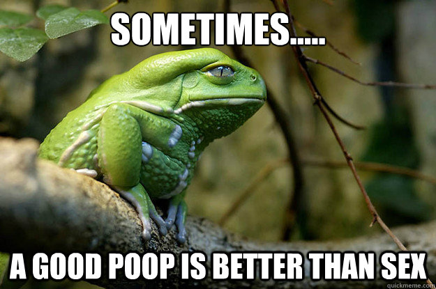 Sometimes..... a good poop is better than sex - Sometimes..... a good poop is better than sex  Misc