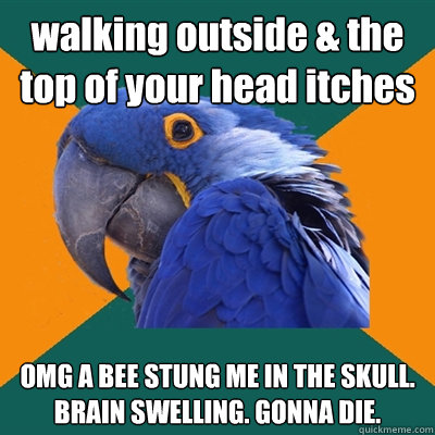 walking outside & the top of your head itches OMG A BEE STUNG ME IN THE SKULL. BRAIN SWELLING. GONNA DIE.  Paranoid Parrot