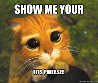SHOW ME YOUR  TITS PWEASEE  Puss in boots