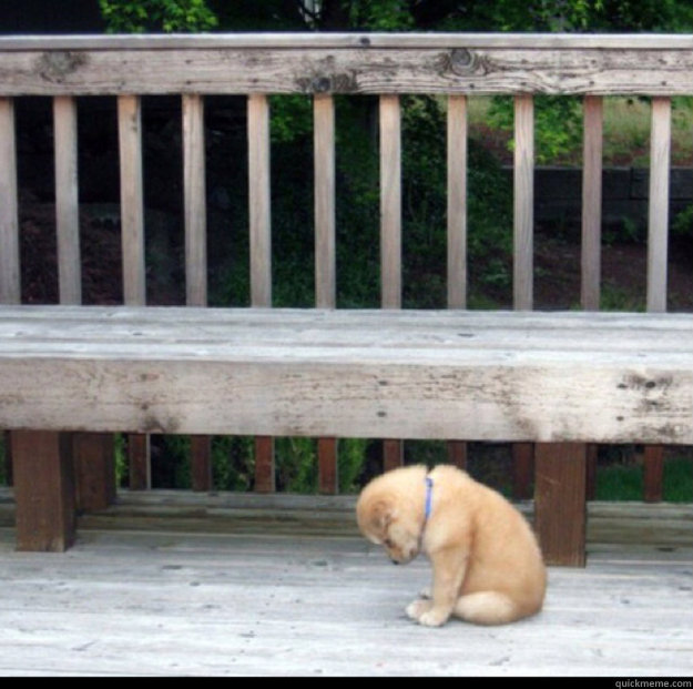   -    Sad Puppy