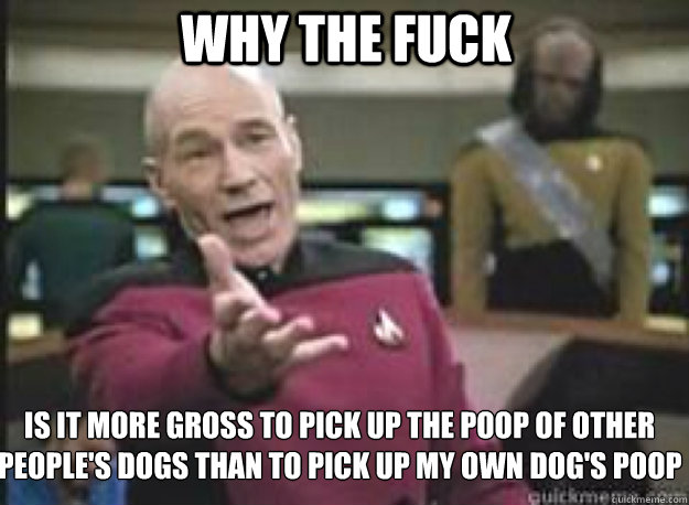 why the fuck is it more gross to pick up the poop of other people's dogs than to pick up my own dog's poop  What the Fuck