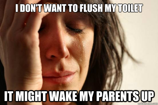 I don't want to flush my toilet it might wake my parents up  First World Problems