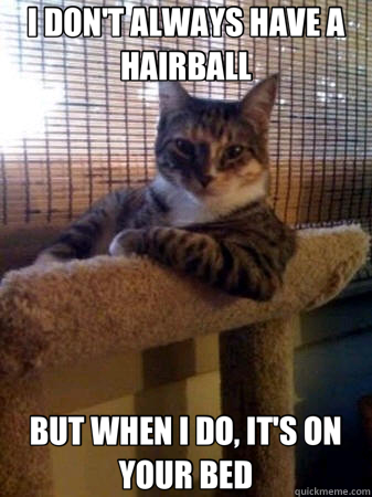 I DON'T ALWAYS HAVE A HAIRBALL BUT WHEN I DO, IT'S ON YOUR BED  The Most Interesting Cat in the World