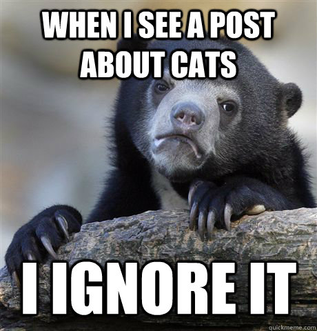 When I see a post about cats i ignore it - When I see a post about cats i ignore it  Confession Bear