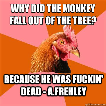Why did the monkey fall out of the tree? because he was fuckin' dead - a.frehley  Anti-Joke Chicken