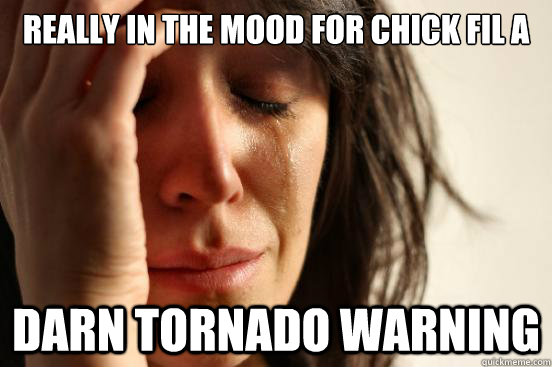 REALLY IN THE MOOD FOR CHICK FIL A DARN TORNADO WARNING  First World Problems