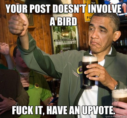 YOUR POST DOESN'T INVOLVE A BIRD fuck it, have an upvote.   Upvote Obama