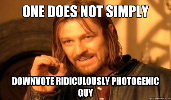 One Does Not Simply downvote ridiculously photogenic guy  Boromir