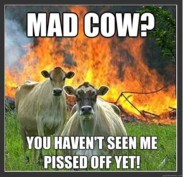 Mad Cow? You haven't seen me pissed off yet! - Mad Cow? You haven't seen me pissed off yet!  Evil cows