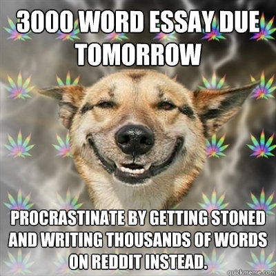 3000 Word essay due tomorrow Procrastinate by getting stoned and writing thousands of words on reddit instead.  