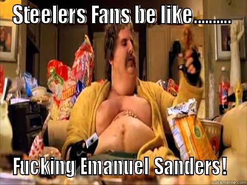 STEELERS FANS BE LIKE.......... FUCKING EMANUEL SANDERS!  Misc