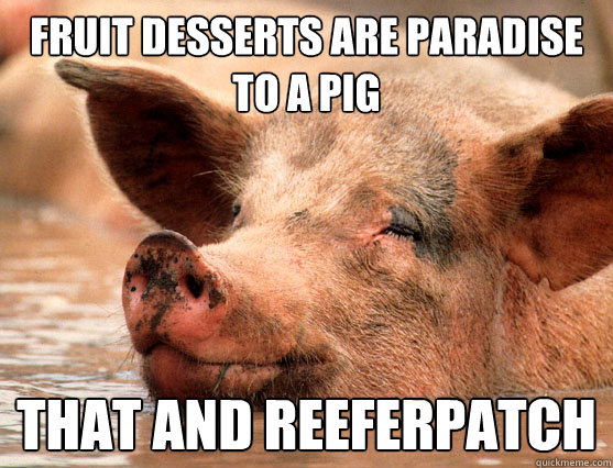 fruit desserts are paradise to a pig that and reeferpatch  Stoner Pig