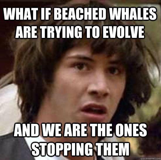 WHAT IF BEACHED WHALES ARE TRYING TO EVOLVE  AND WE ARE THE ONES STOPPING THEM   conspiracy keanu