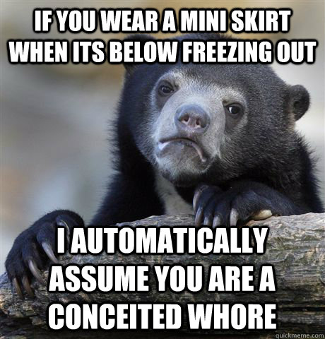 If you wear a mini skirt when its below freezing out I automatically assume you are a conceited whore - If you wear a mini skirt when its below freezing out I automatically assume you are a conceited whore  Confession Bear