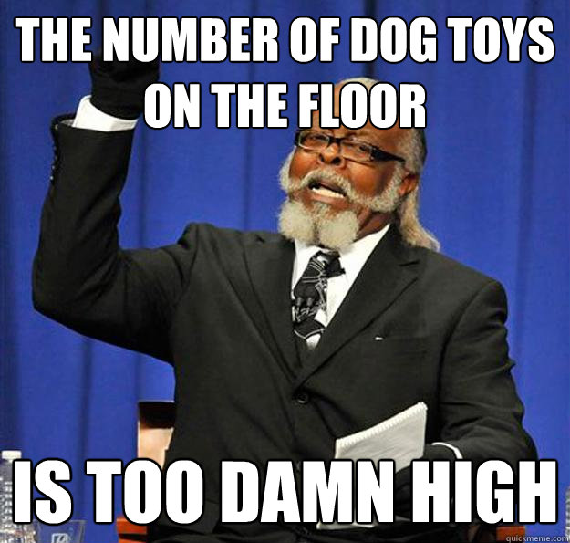 The number of dog toys on the floor Is too damn high  Jimmy McMillan