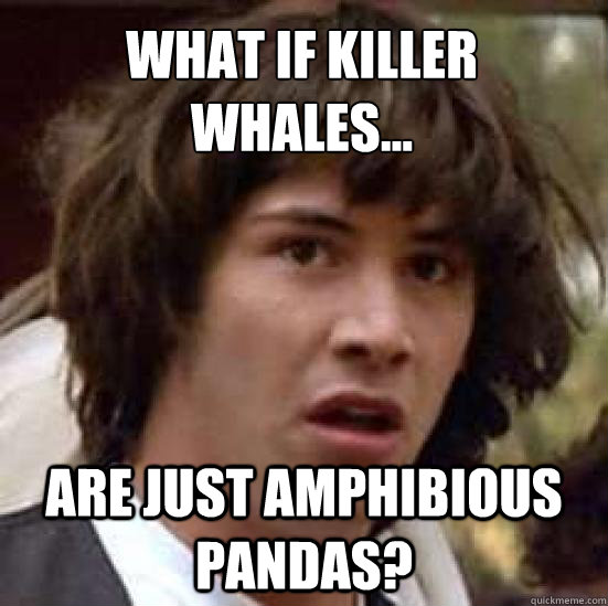 What if Killer Whales... Are just amphibious pandas?  conspiracy keanu