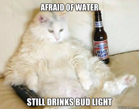 afraid of water still drinks bud light - afraid of water still drinks bud light  Lazy cat