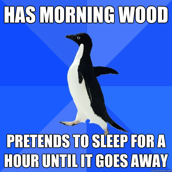 has morning wood pretends to sleep for a hour until it goes away  Socially Awkward Penguin