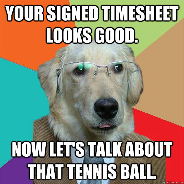 Your signed timesheet looks good. Now let's talk about that tennis ball.  Business Dog