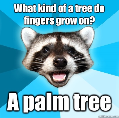 What kind of a tree do fingers grow on? A palm tree - What kind of a tree do fingers grow on? A palm tree  Lame Pun Coon