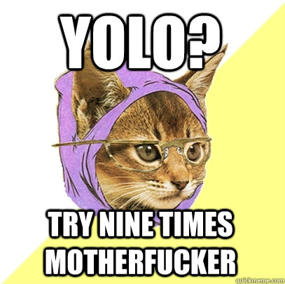 YOLO? Try Nine times motherfucker  Hipster Kitty