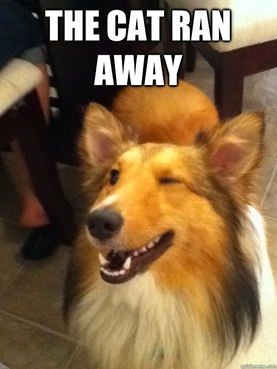The cat ran away   implying dog